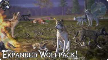 终极野狐模拟器2攻略