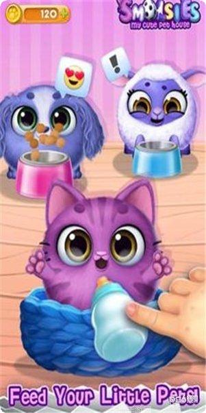 我可爱的小宠物攻略