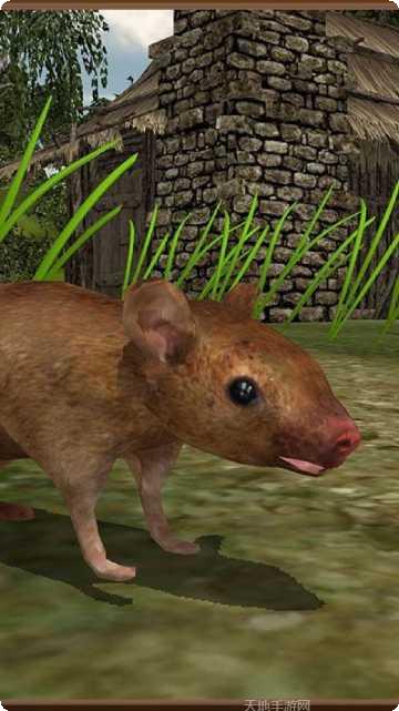 老鼠模拟器3D玩法介绍