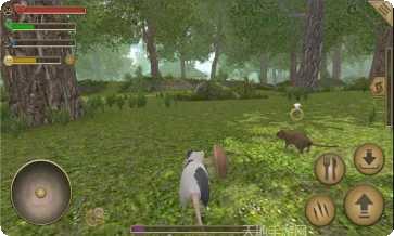 老鼠模拟器3D最新版本