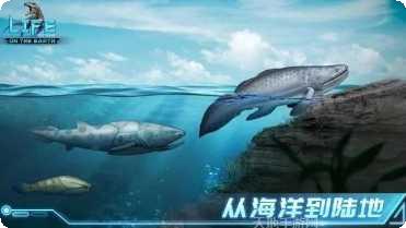 地球上最后一只鸡攻略