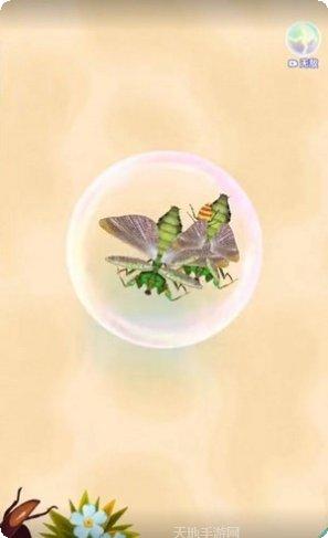 召唤神龙进化合成最新版本