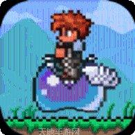 terraria生物图鉴