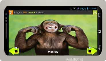 动物运动会玩法介绍