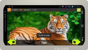 动物运动会角色大全