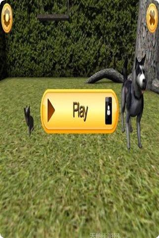 虚拟宠物大作战攻略