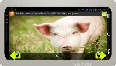 动物运动会游戏下载