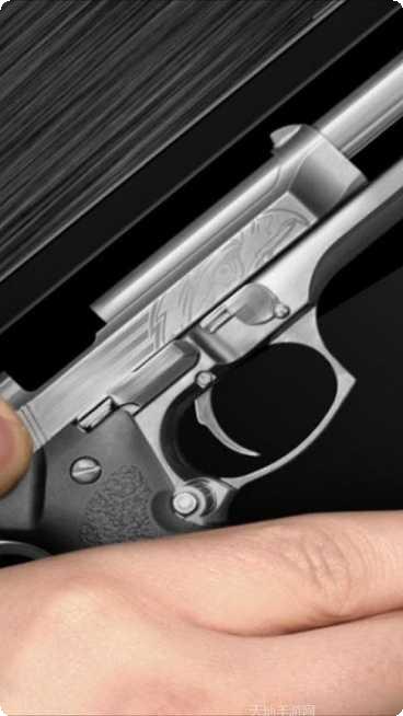 真实武器枪支模拟器付费版最新版本