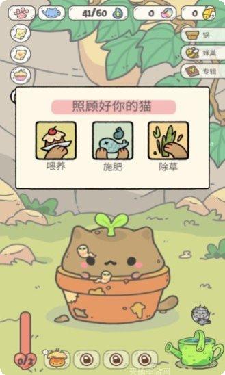 我的猫咪日记最新版本