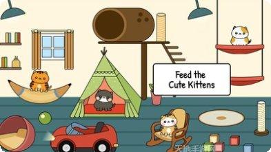 我的猫咪日记趣味玩法