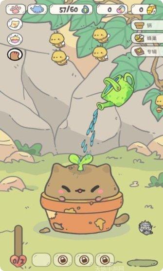 我的猫咪日记互动体验