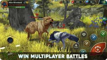 狼传说家园与爱心玩法