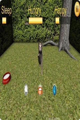 虚拟宠物大作战攻略