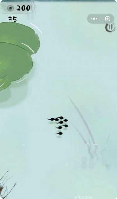 龙虾大战蝌蚪4游戏攻略