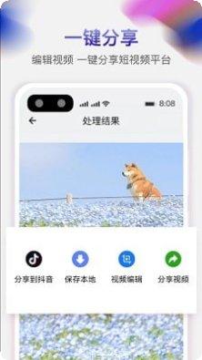 天天免费游戏攻略