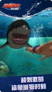 真实模拟驾驶汽车玩法