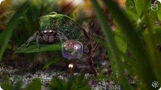 蚂蚁文托玩法介绍