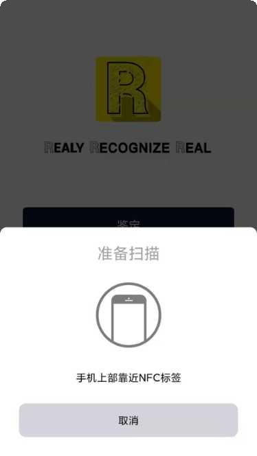 Real Racing Next攻略