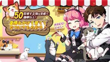 我的猫俱乐部玩家交流