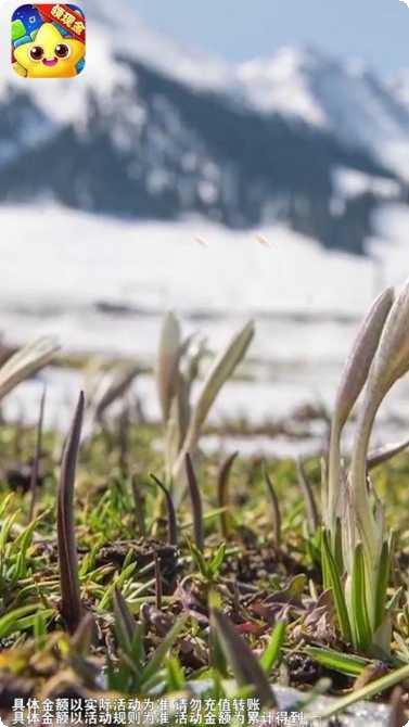 爆破消星星下载