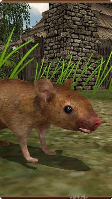 老鼠模拟器3D游戏评测