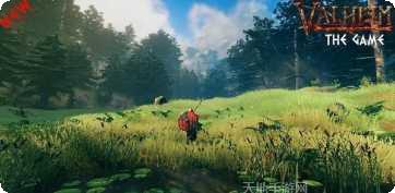 维京生活狂野的北方任务