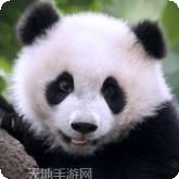 大熊猫狩猎