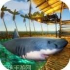 Survival Challenge 3D