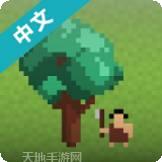 我的工艺世界中文版