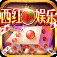西红柿电玩