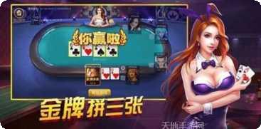 天天自摸棋牌安卓版