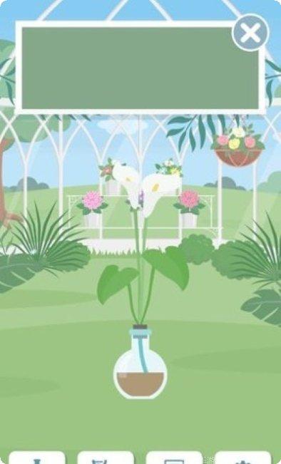 孟德尔的追求最新版本