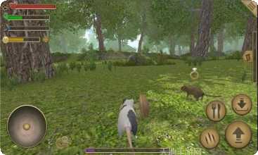 老鼠模拟器3D安卓版