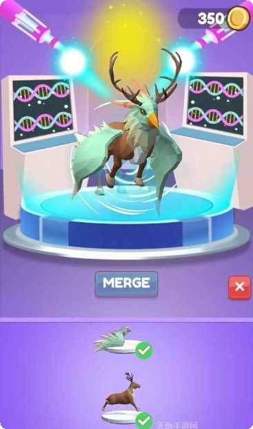 动物混合对战玩家交流群