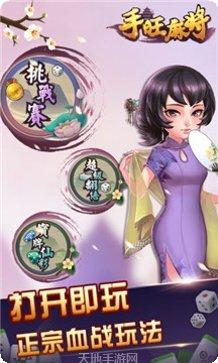 游乐场棋牌最新版本