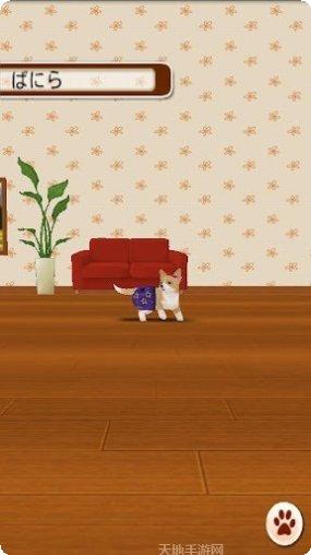 家有小店商品管理