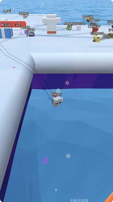 滑雪大竞速比赛技巧