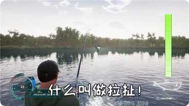 钓鱼天天赚红包版下载