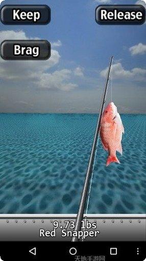 我钓鱼真溜下载地址