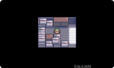 口袋妖怪迷失夜6游戏玩法