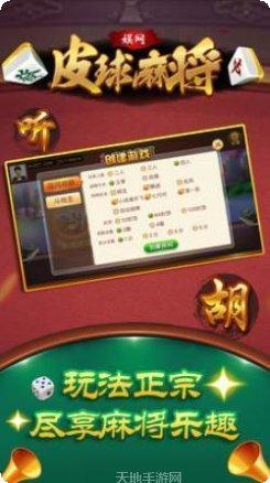 娱网皮球棋牌下载