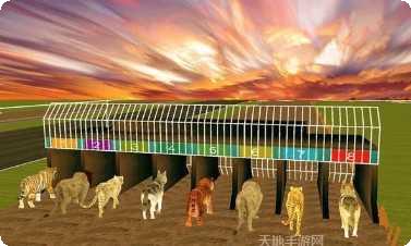 疯狂丛林大冒险攻略