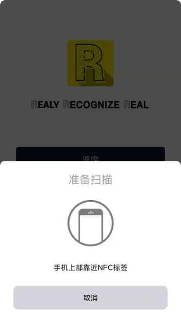 Real Racing Next游戏下载