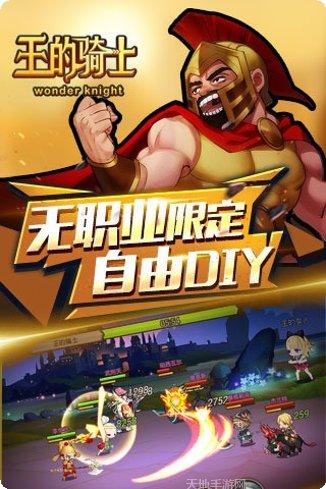 王的骑士手游九游版激活码