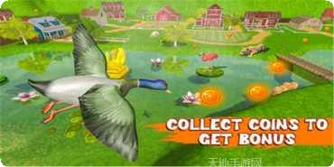 会说话的猫咪怎么玩