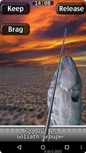 我钓鱼真溜技巧