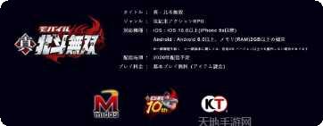 真北斗无双下载