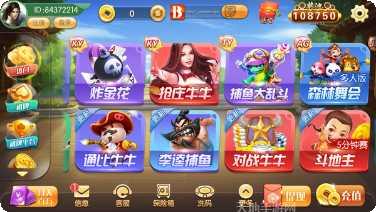 边锋娱乐游戏大厅