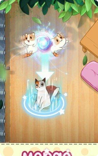 猫咪合成大师下载