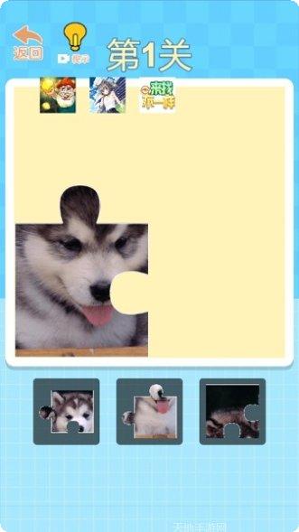 新梦幻神兽录礼包